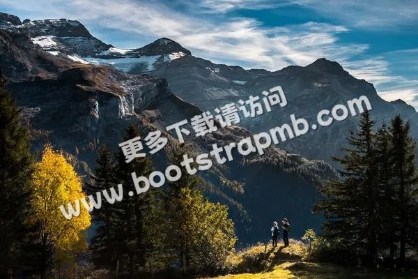 ⊞ Portfolio - 斗鱼游戏直播间平台