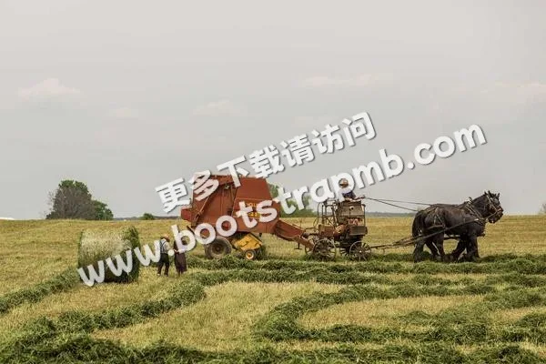 ⊞ Portfolio - 斗鱼游戏直播间平台